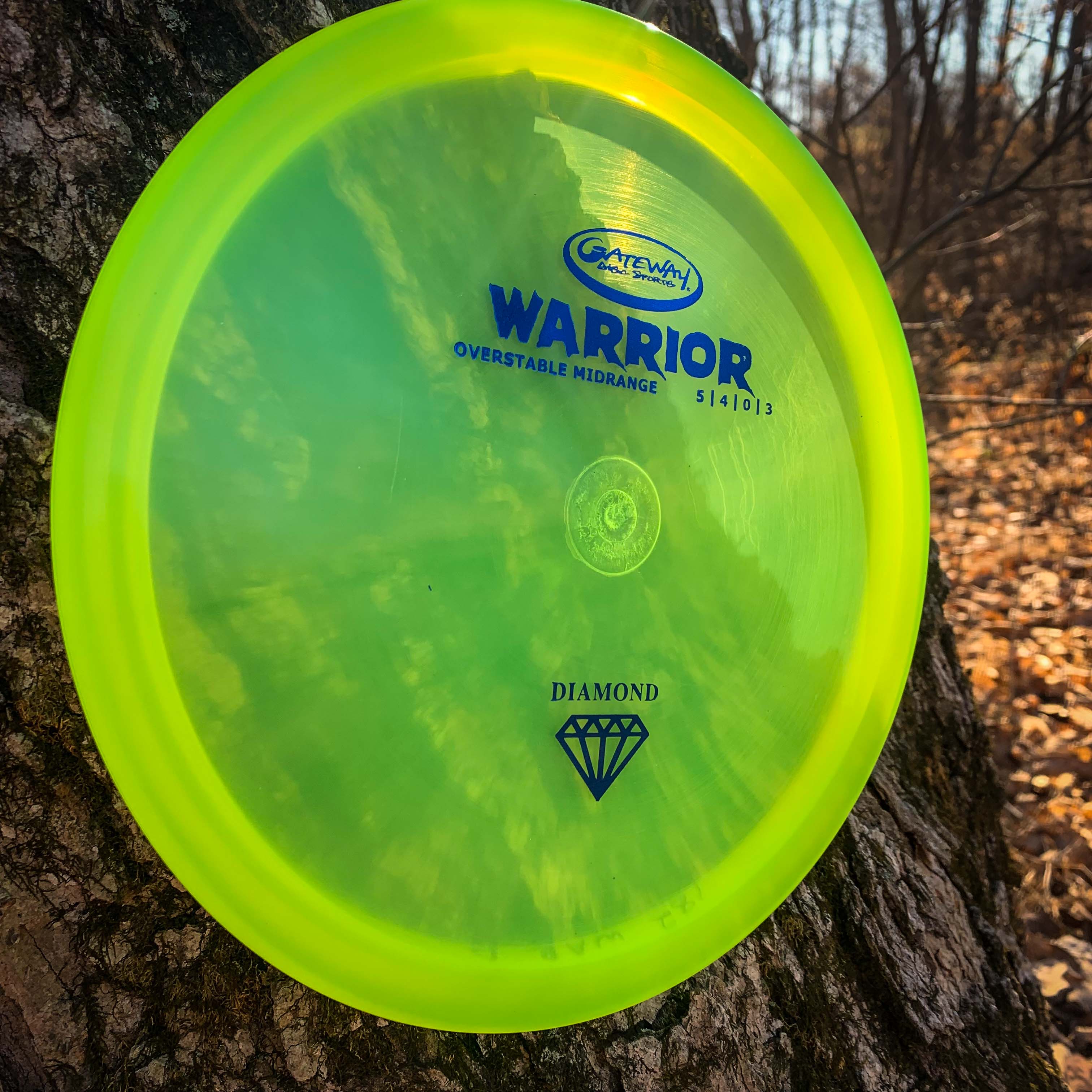 Warrior - Diamond - Image 9